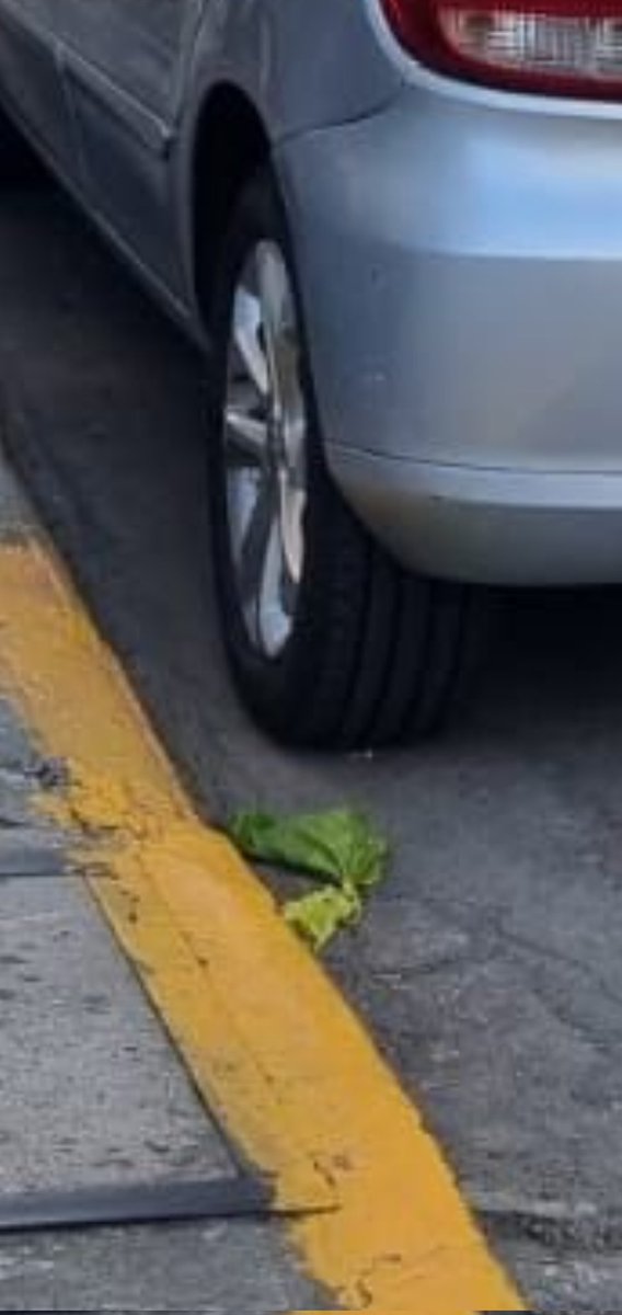 agustingpv_'s tweet photo. @Tomidiazcueto 1/4 de auto mal estacionado con la cuadra libre. Me parece que la multa fue por boludo https://t.co/8FJtQBMXjg
