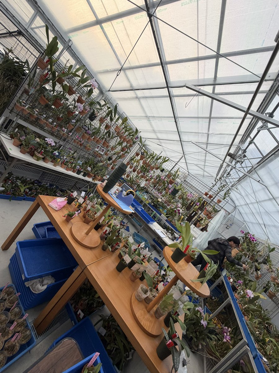 ファキニー (@Petrichor3930) / Posts / X