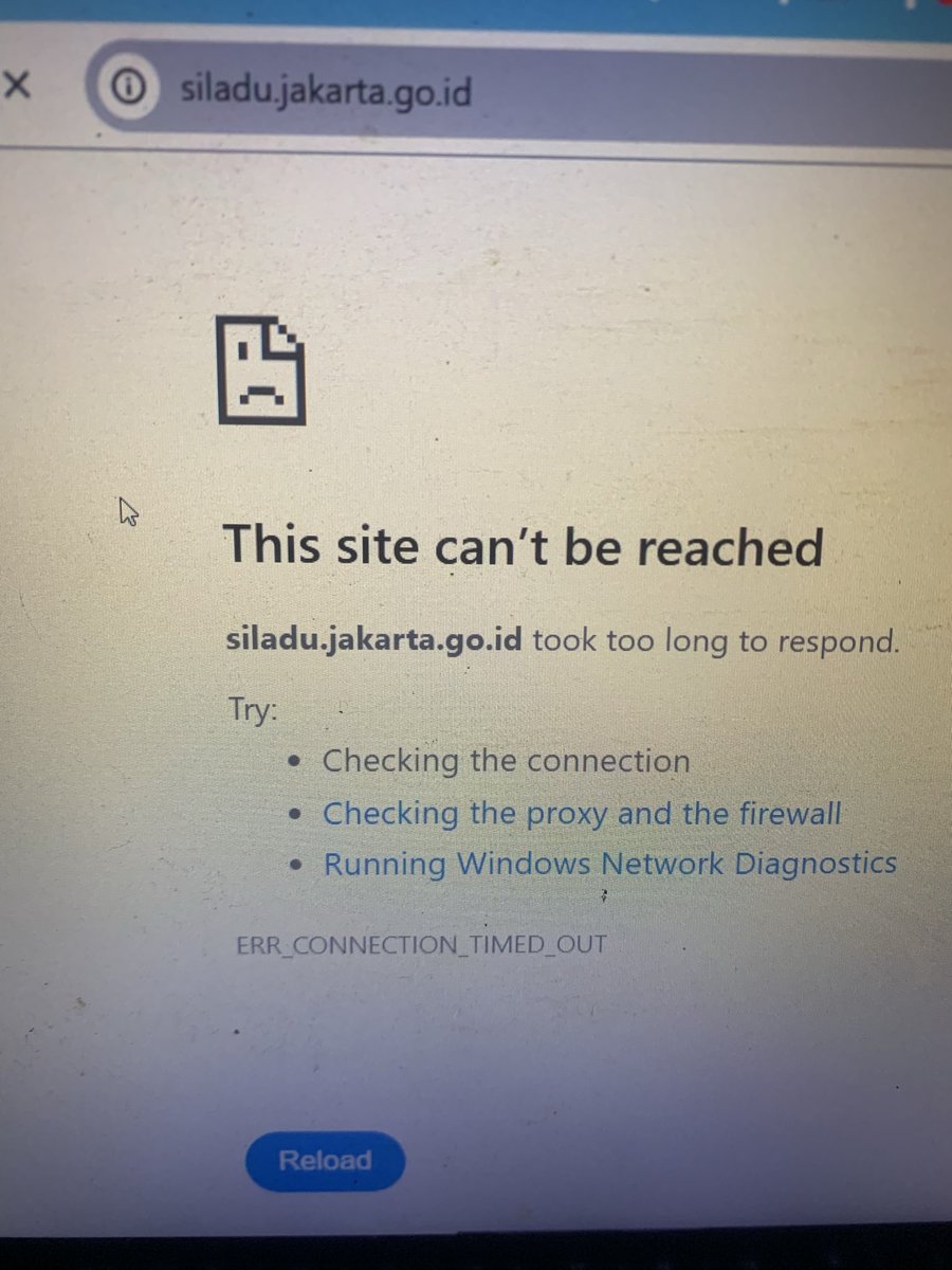 Kuple | 7kurcaci™ | Dreads Conspiracy tweet media