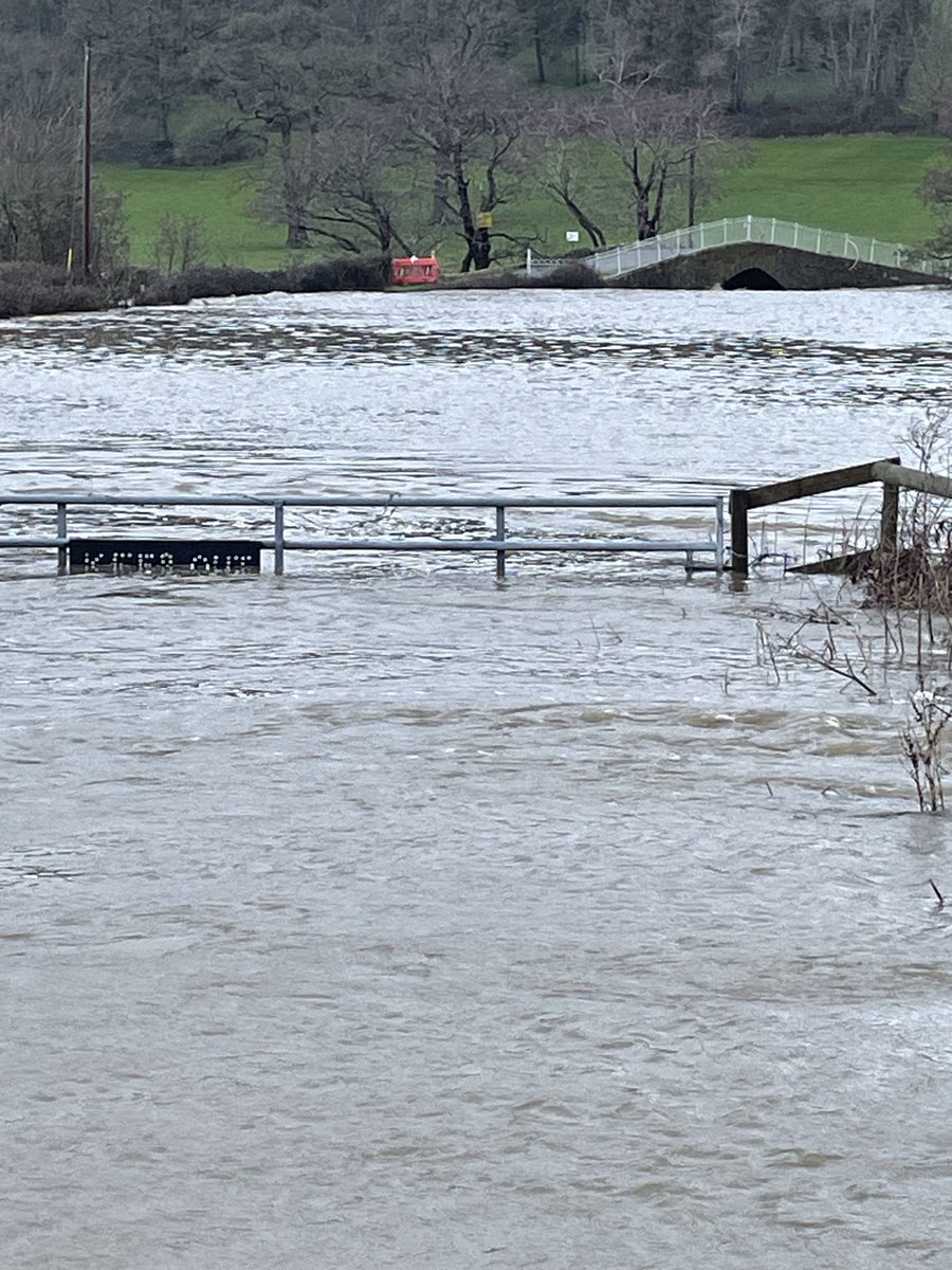 Rob Pearce tweet media