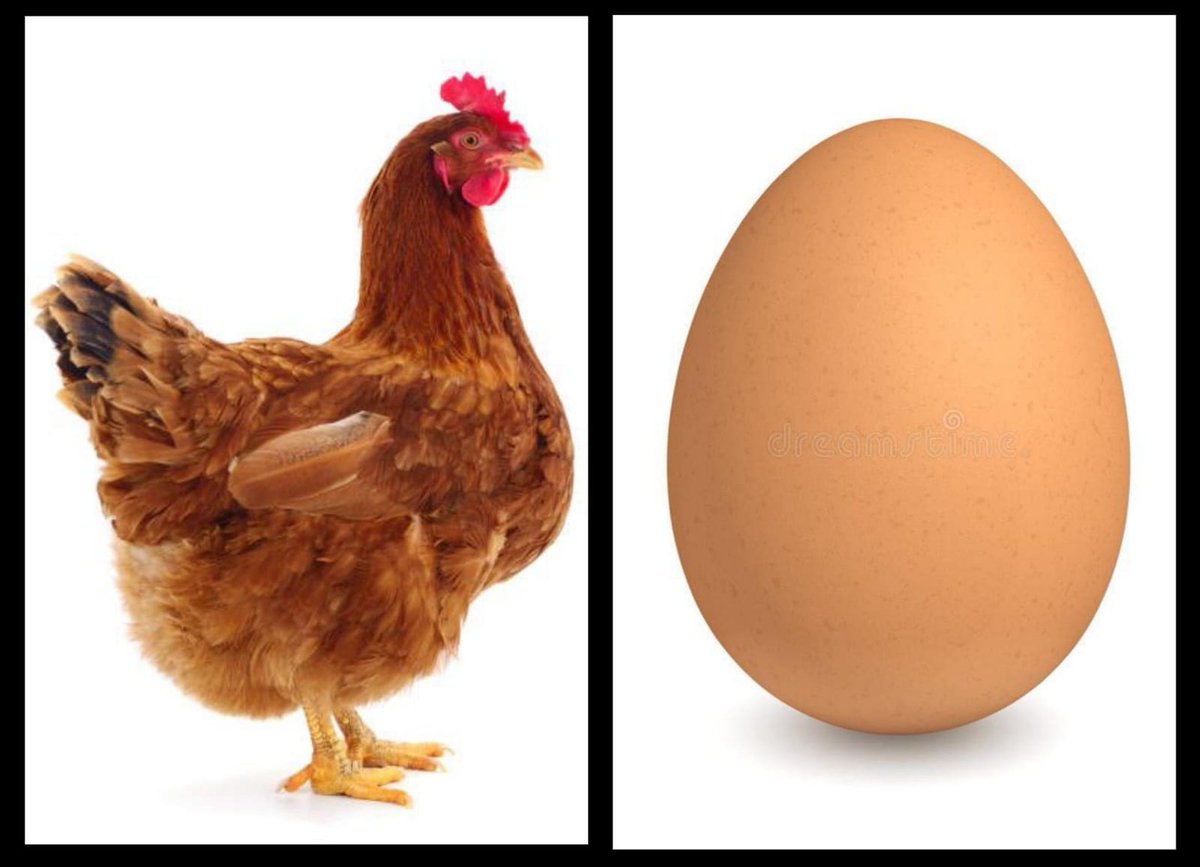 Dudu Don tweet media