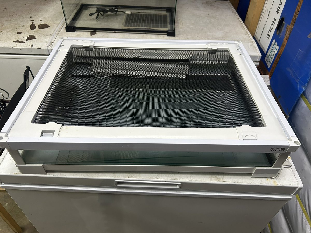 買い取りました‼️ 三晃商会 パンテオン6045 中古ですがかなり綺麗な