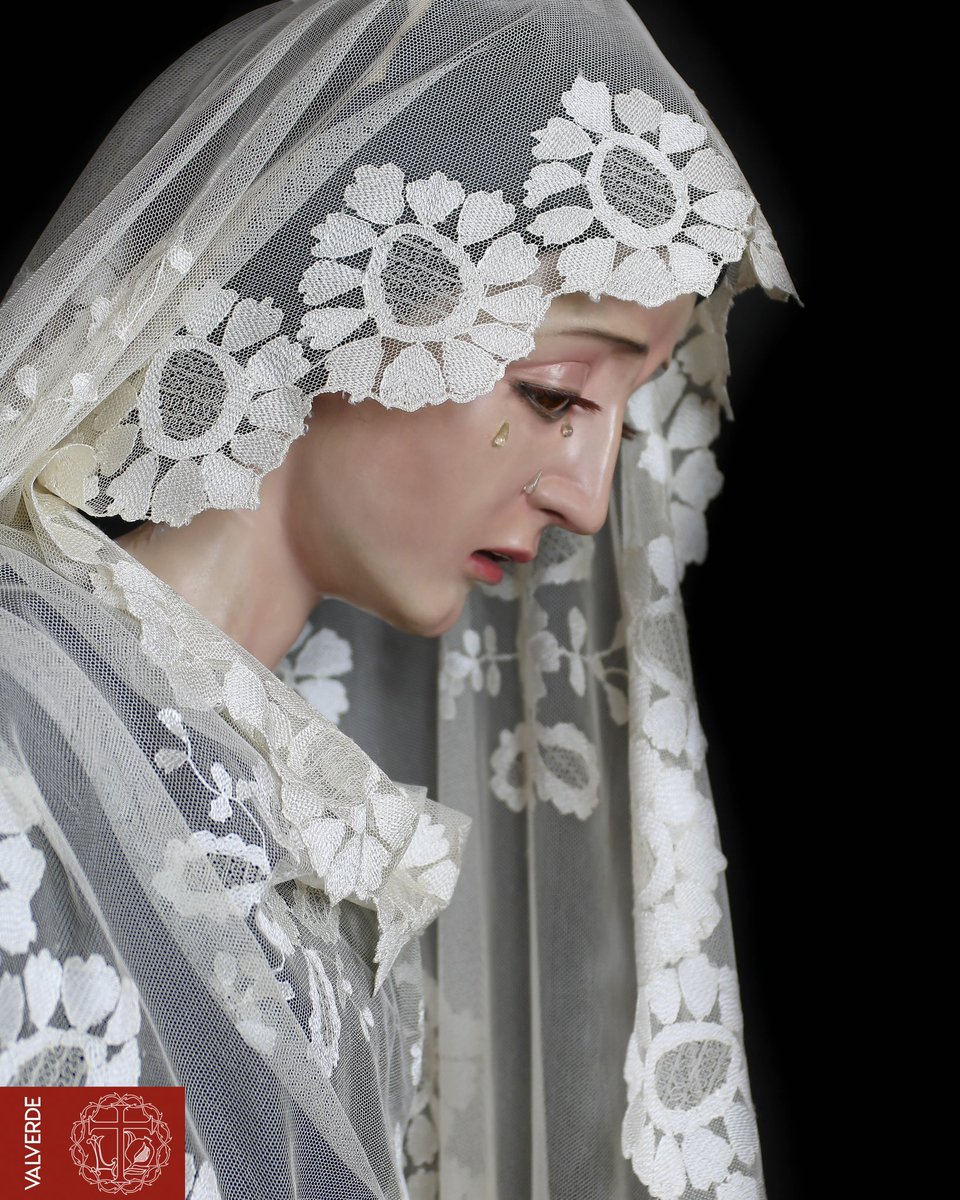 #CoronadelZaidín • Se cumple un año desde que anunciamos la fecha de la Coronación Canónica de Nuestra Señora de la Luz.

Un glorioso camino el que estamos viviendo lleno de compromiso y de fraternidad, bajo el lema; “Luz, Reina del Zaidín, tu barrio te corona”.

(1/3)