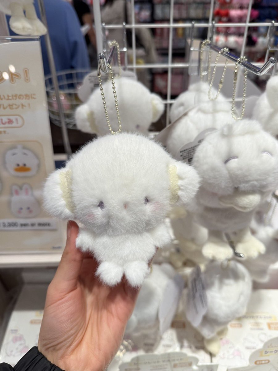 J oo N 🎀🐰✨ tweet media