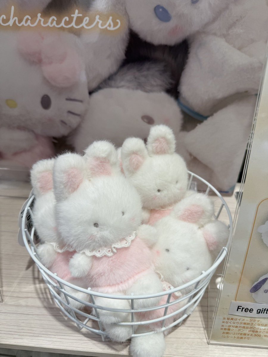J oo N 🎀🐰✨ tweet media