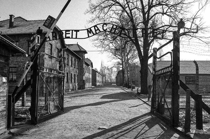 YaelBRAUNPIVET's tweet image. Il y a 81 ans, la libération d’Auschwitz révélait au monde l’ampleur de l’horreur.

Alors que les derniers témoins s’éteignent, notre devoir grandit : transmettre leurs récits, démasquer le négationnisme, combattre l’antisémitisme qui se répand à nouveau, dans la rue comme en…