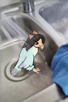 anthroglade's tweet photo. My boyfriend keeps jumping into the clothes washer, any tips on getting detergent out of his feathers? https://t.co/eifTSk8Tm0