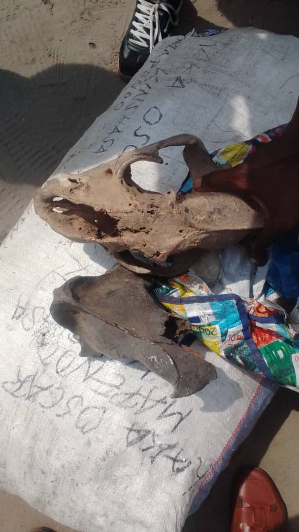 Adams Cassinga tweet media