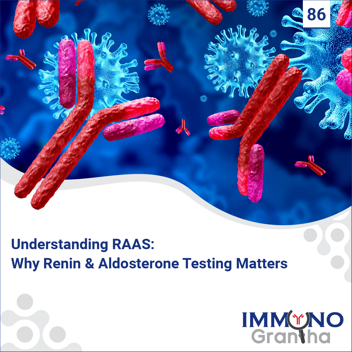 Immuno Grantha Blog...

Understanding RAAS: Why Renin &amp; Aldosterone Testing Matters...

Continue reading here...
zurl.co/Aw1aN

#agappe #immunograntha #RAAS
#ReninAldosterone
#HypertensionAwareness
#ClinicalBiomarkers