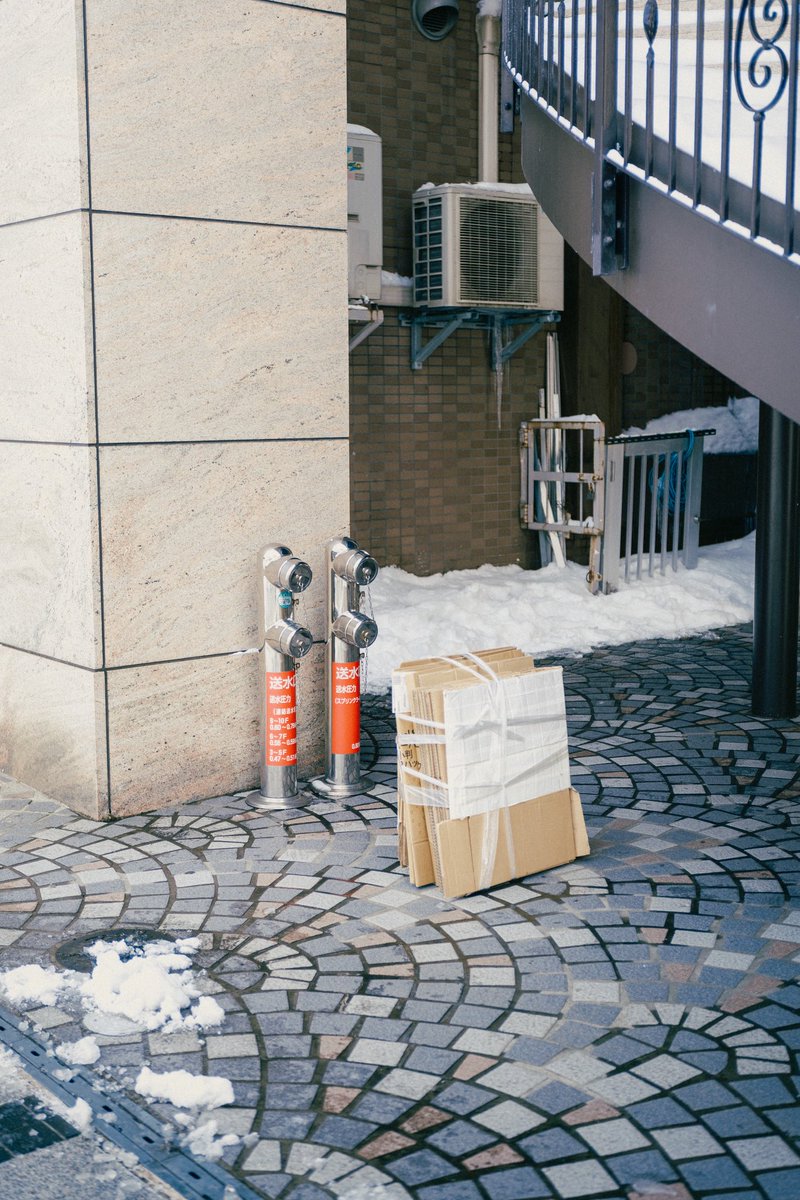 どんぐり (@dongri1620) / Posts / X