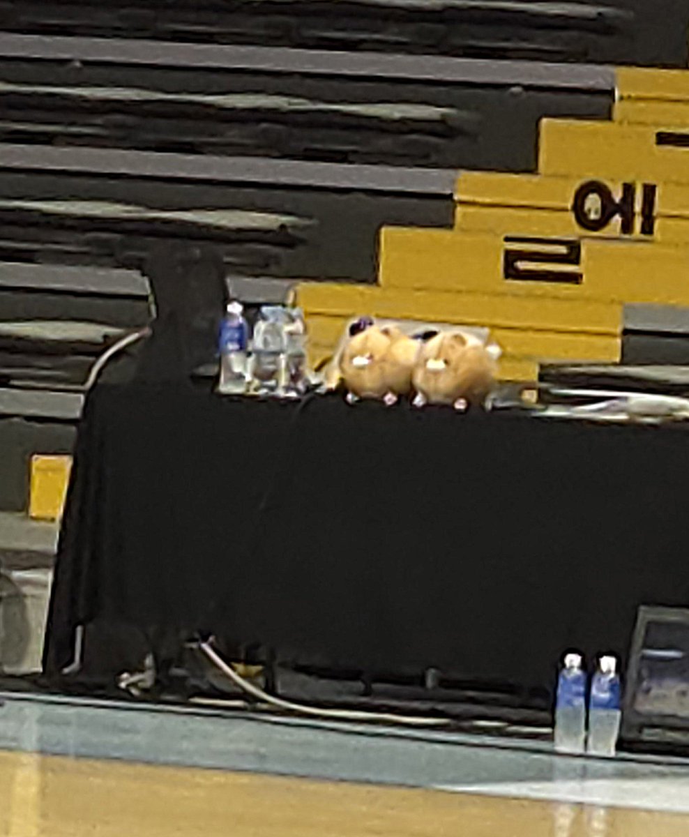 혹시 지훈이 주시려고 공냥이 두개인건가