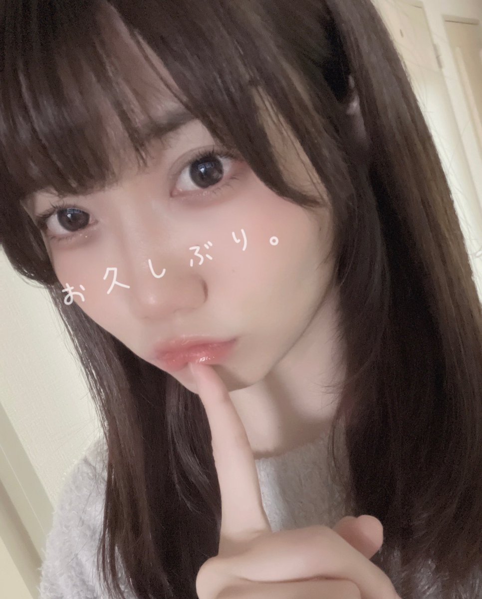 みしぇる (@mishelcat2828) on Twitter photo 