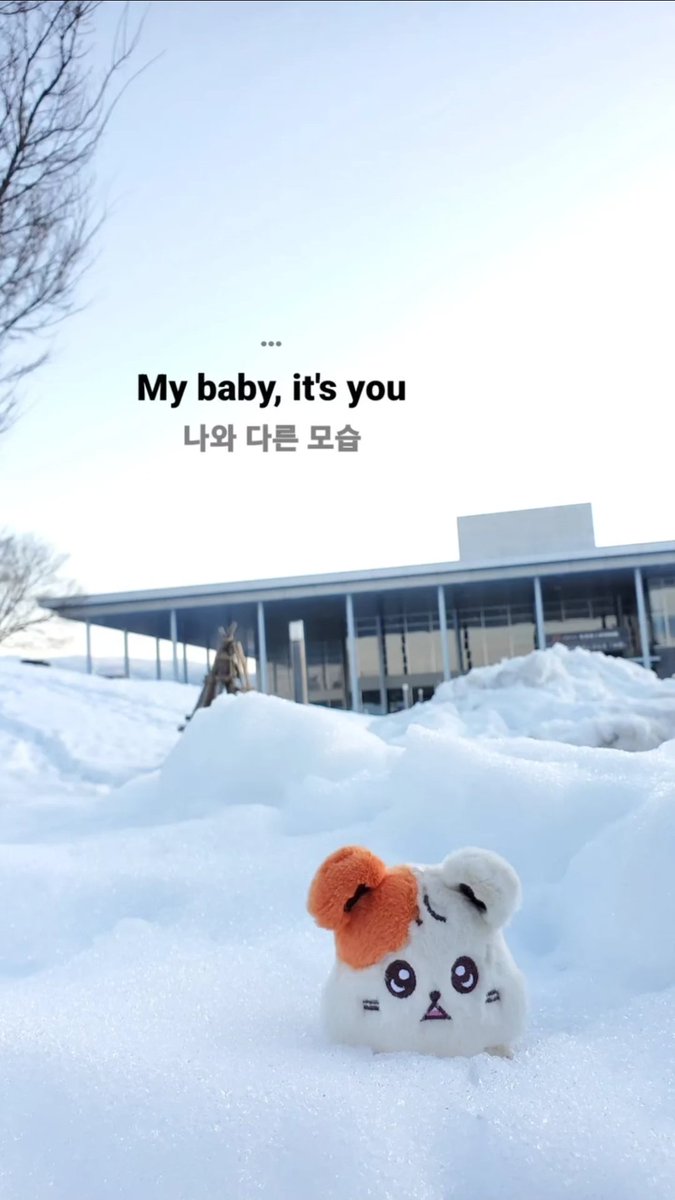 #별이를_찾아라