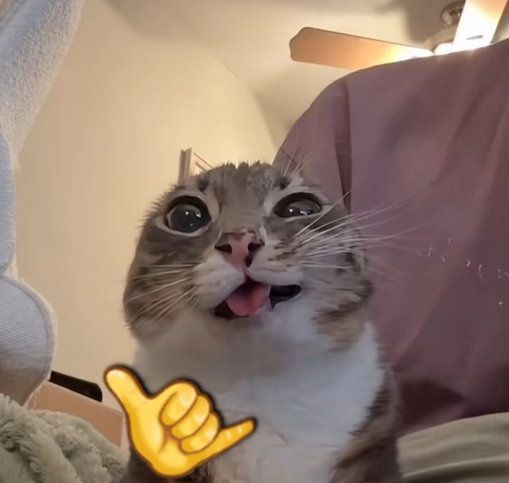 0xvinhpham tweet media