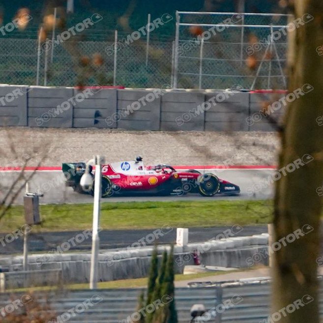 ray | レー ⭑ tweet media