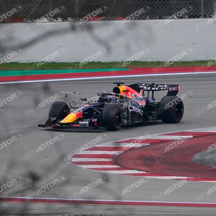 ray | レー ⭑ tweet media