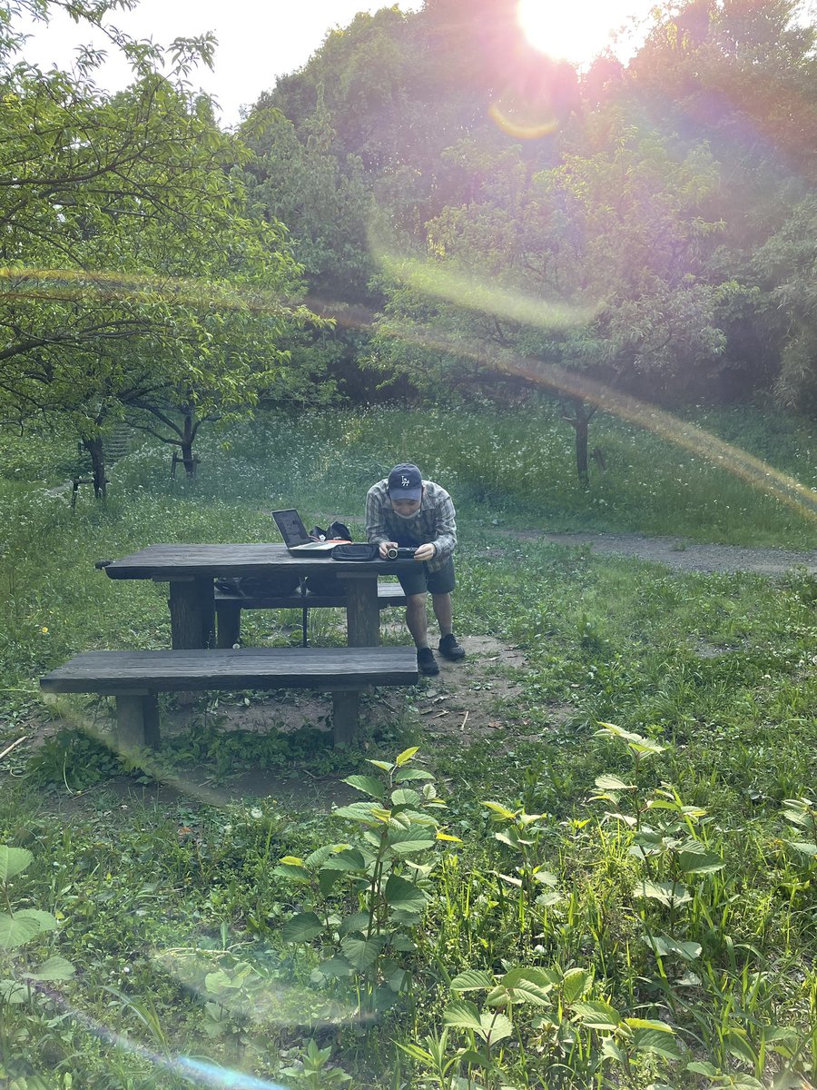 ninoheron tweet media