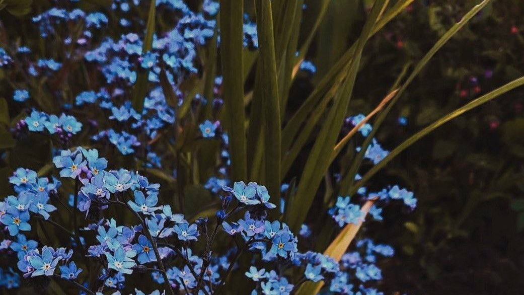 “Şimdi anlıyorum ki ben bir karmaşa değilim, karmaşık bir dünyada derin duygulara sahip bir insanım. Biri bana neden bu kadar sık ​​ağladığımı sorduğunda, ‘beni güldüren sebep ile aynı... dikkat ettiğim için.’ diyorum.”

•. G. Doyle Melton