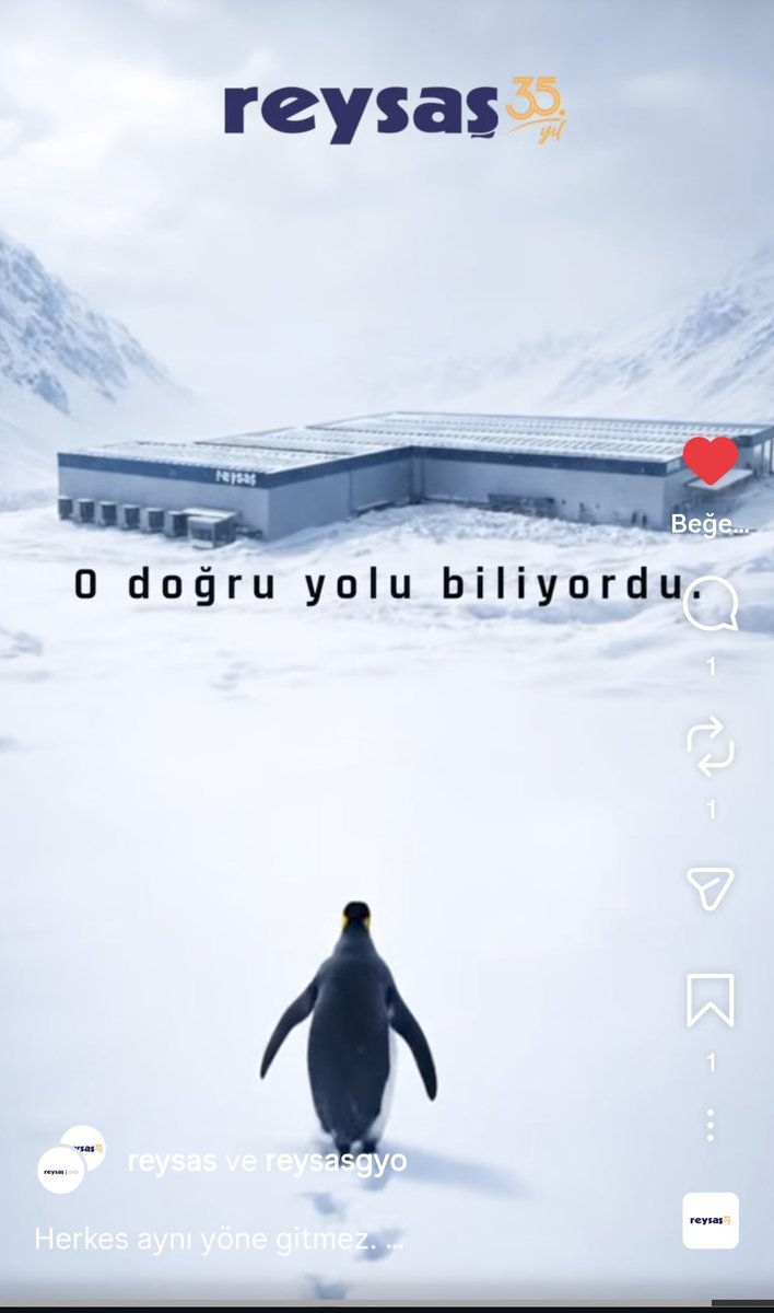 The penguin understands. 🐧🧠

#RYSAS #RYGYO