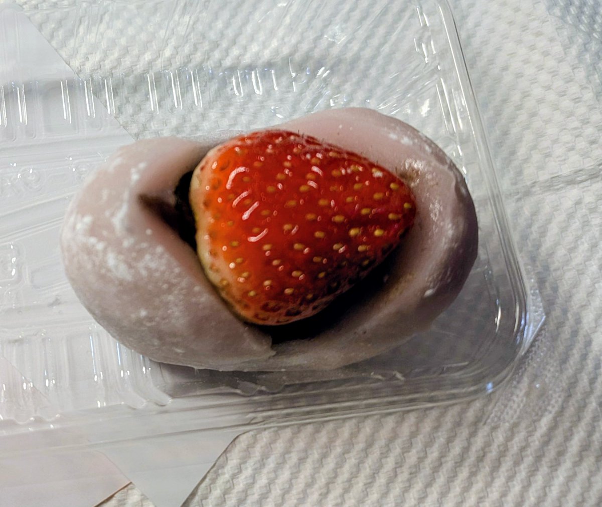 おやつにいただいたいちご大福が美味し過ぎました。我が家のおもち（コダックの名前です。）に負けず劣らずもっちもちでした😋