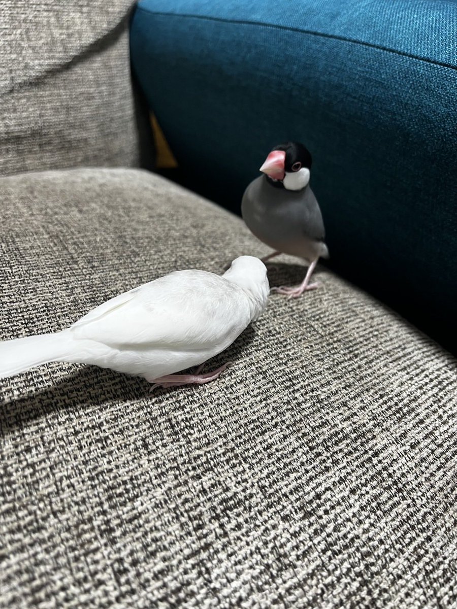 ❄️1月コンセプトライブ　バンド紹介🏂

【バンド名】
buncho

【演奏内容】
bacho

【意気込み】
涙を拭け 挑戦し掴みとれ 更新する未来 最高の新記憶