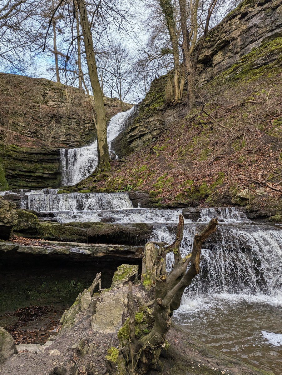 Friends of the Settle-Carlisle Line (FoSCL) tweet media