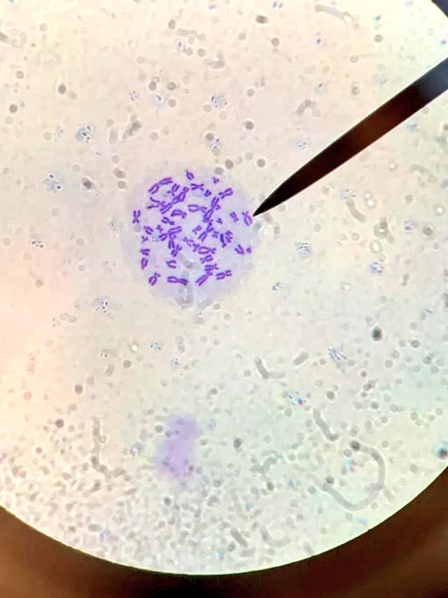 محمد بيرقدار 🔬🪴 tweet media