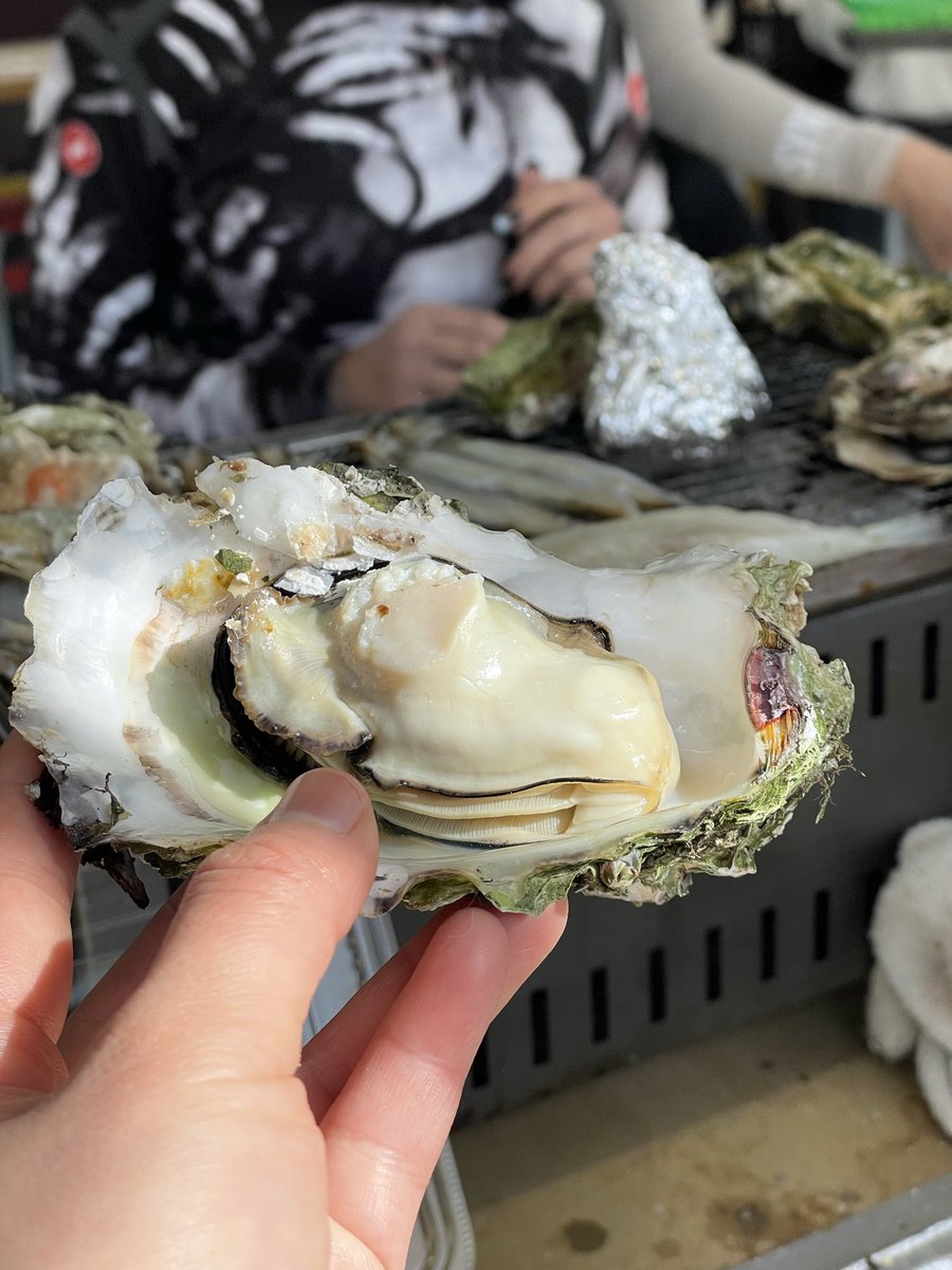 日曜日は同い年女子ライドした
100km先のカキ小屋目指してトイレくらいしか止まらずにともちゃんがずっと良いペースでひいてくれた
女子ライドとは🧐
そういえば4年前にも同い年女子ライドの予定があったけれど車にひかれて出られなかったな🚗³₃