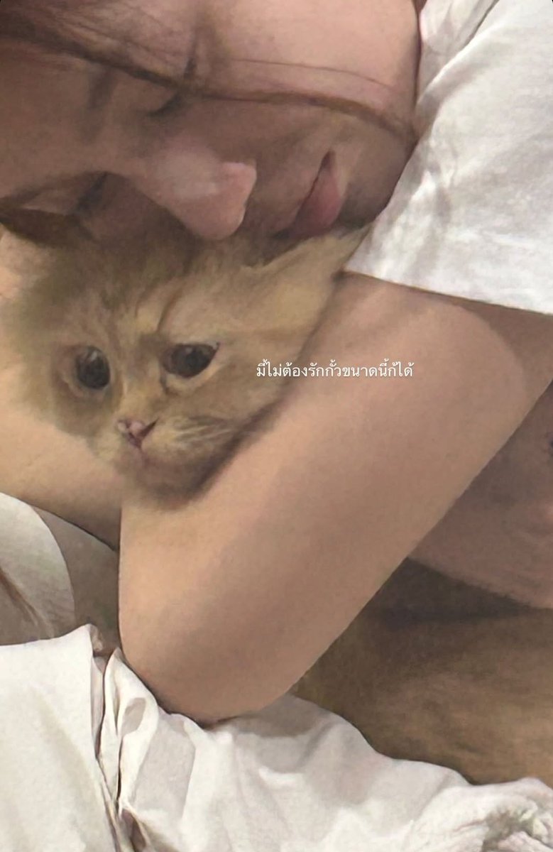 ใครเข้าใจแล้ว จะเข้าใจเลยค่ะ ตอนพี่มิ้ลค์ไม่อยู่ แมวเลิฟรักรับจบตลอดนะคะ

#MilkLove #มิ้ลค์เลิฟ