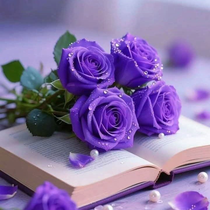 لا تكن سببا في قهر أحد..
فيظل  طوال عمره..
كلما أتت سيرتك يردد..
حسبي الله ونعم الوكيل....💜