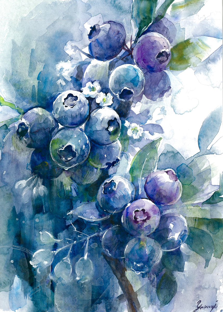 お天気の台所とブルーベリー #透明水彩 #水彩画 #art #watercolor