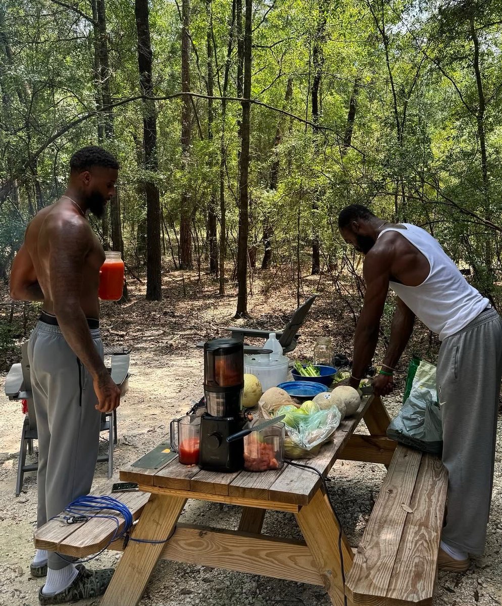 galactamelanin's tweet image. 