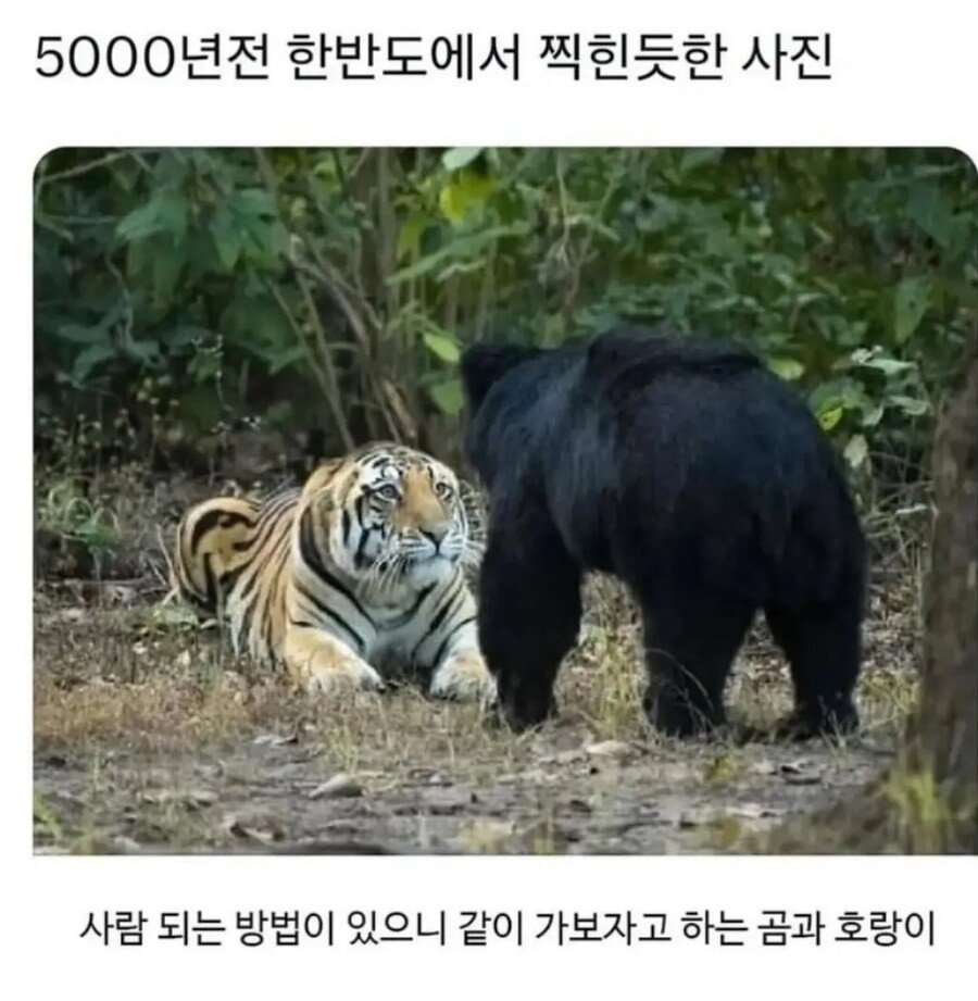 귀여워요.