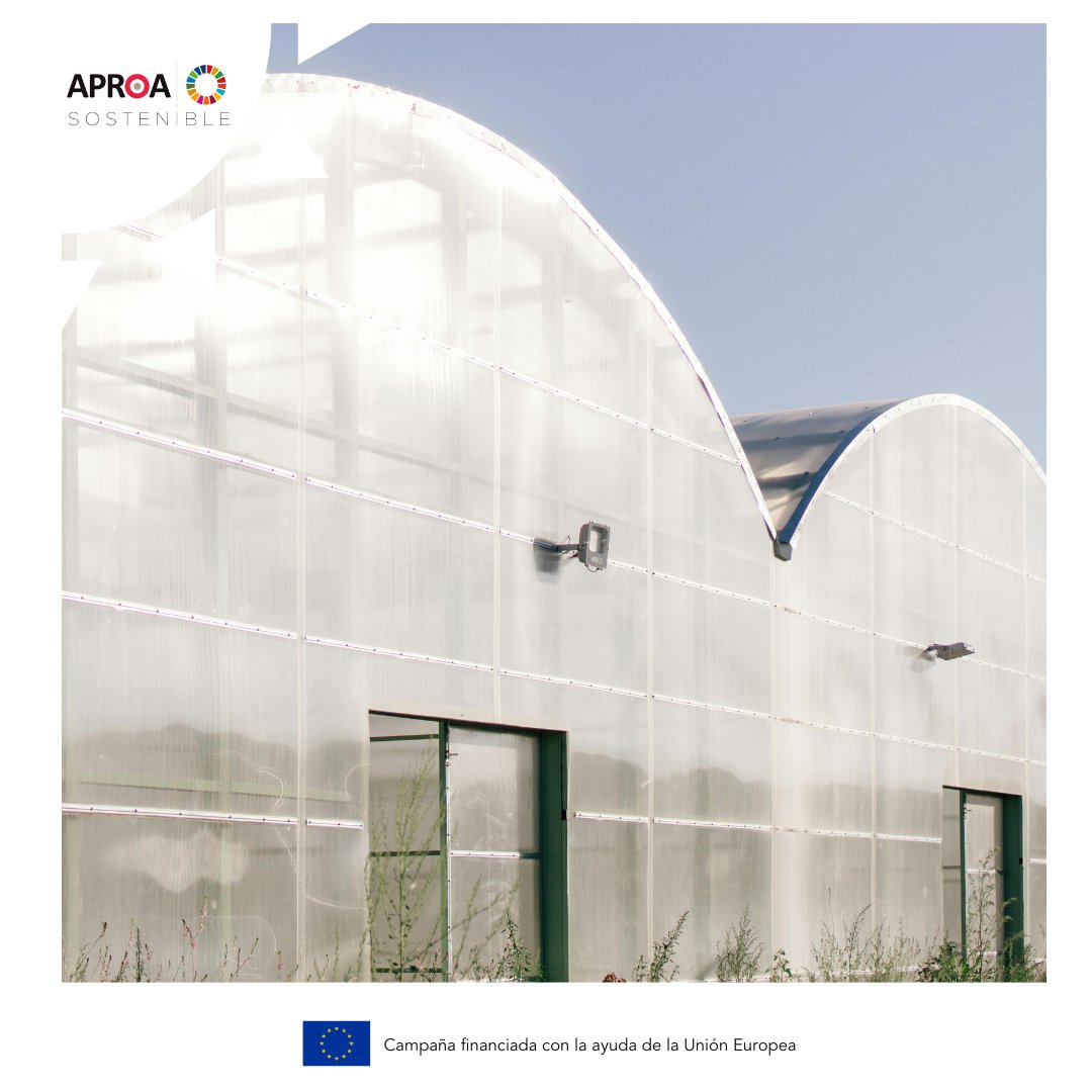 APROA 🌞 tweet media