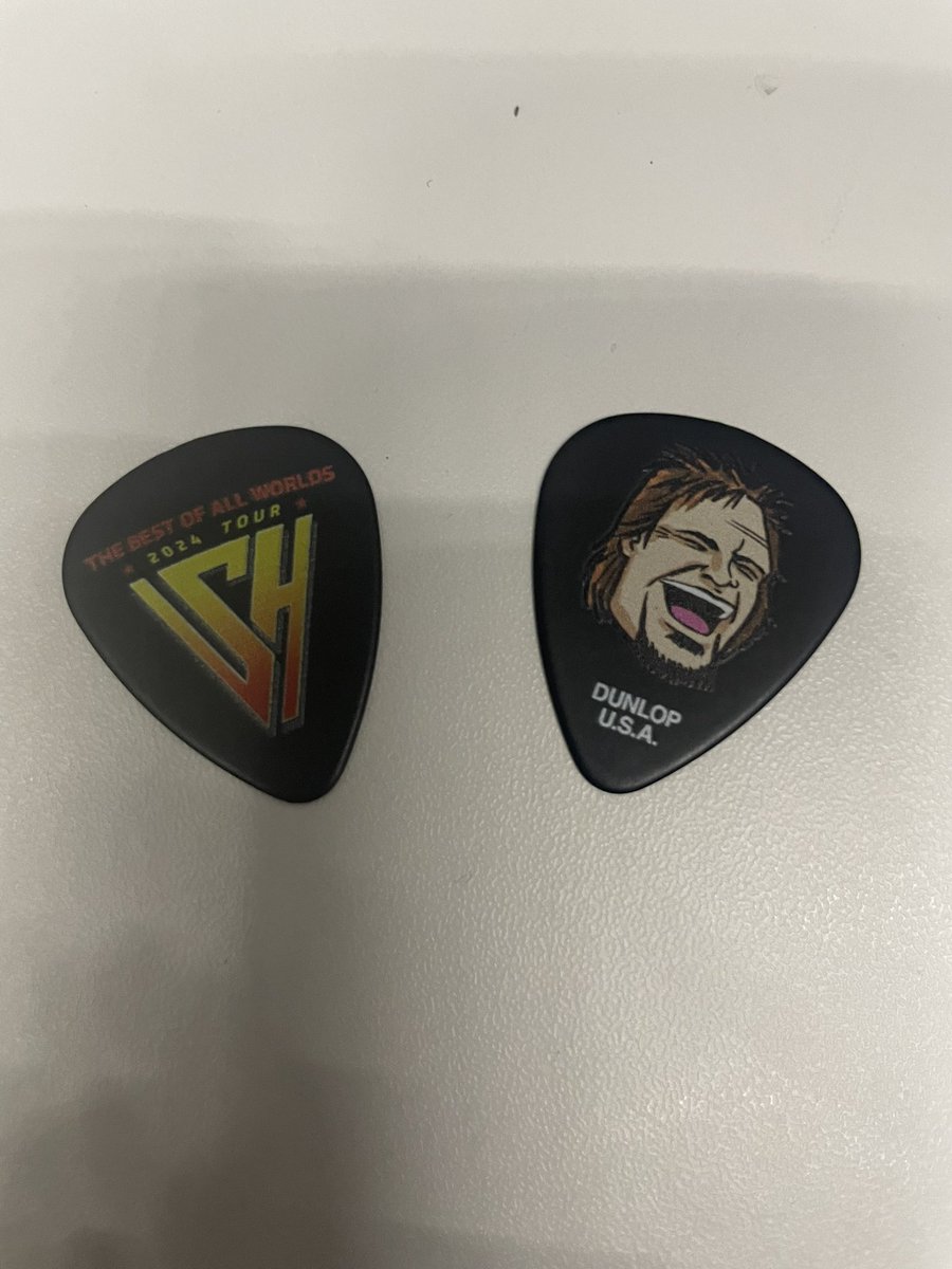 ハウンドドッグ ミキシングスタッフから貰った ギターピック ハウンドドッグ ミキシングスタッフから貰った ギターピック どの