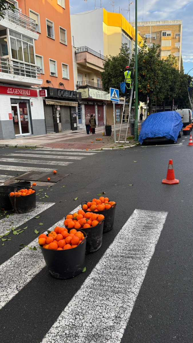 Distrito San Pablo-Santa Justa (Sevilla) tweet media