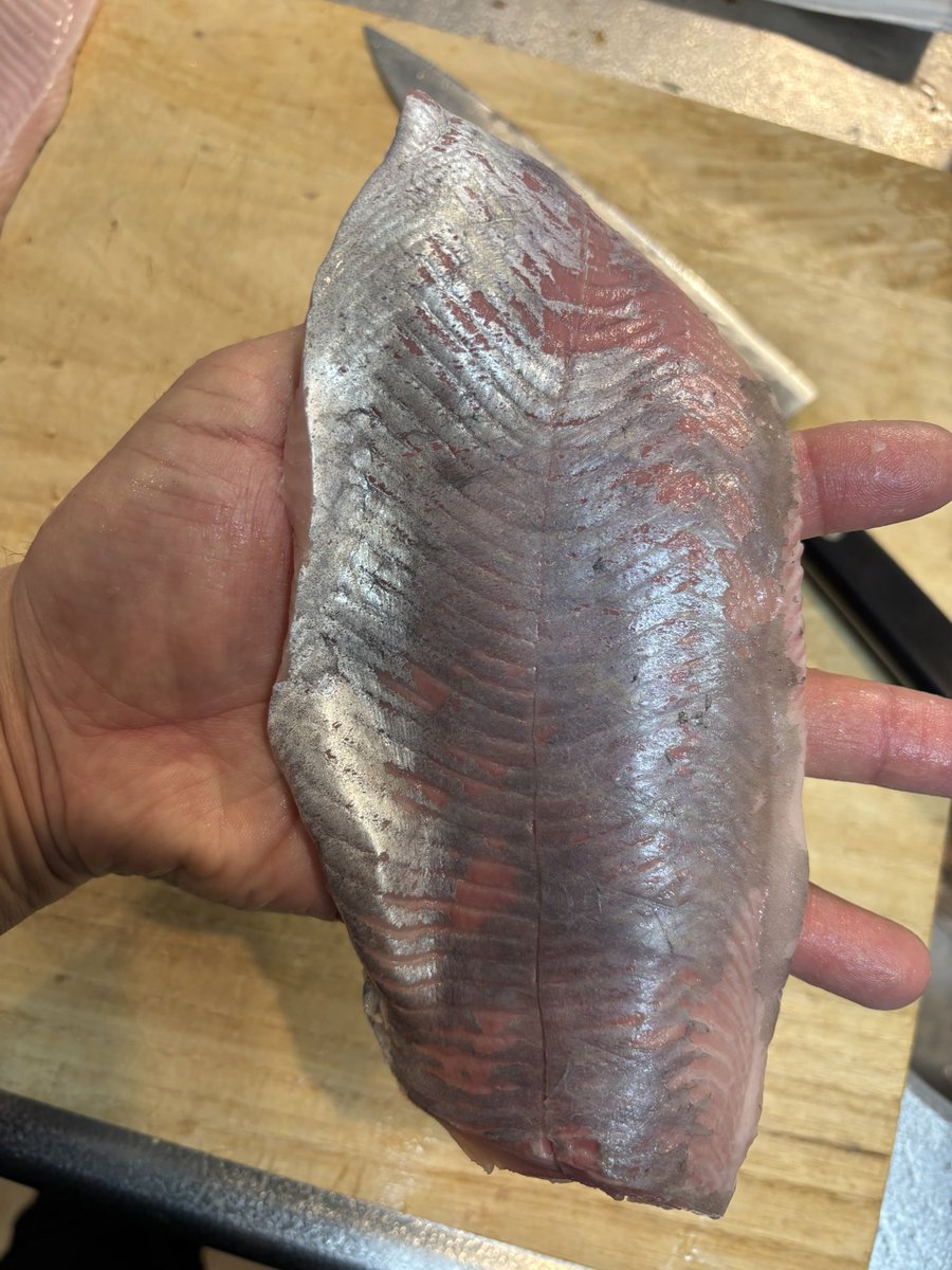 やっくん@あんこうアワーズ【釣り】 tweet media