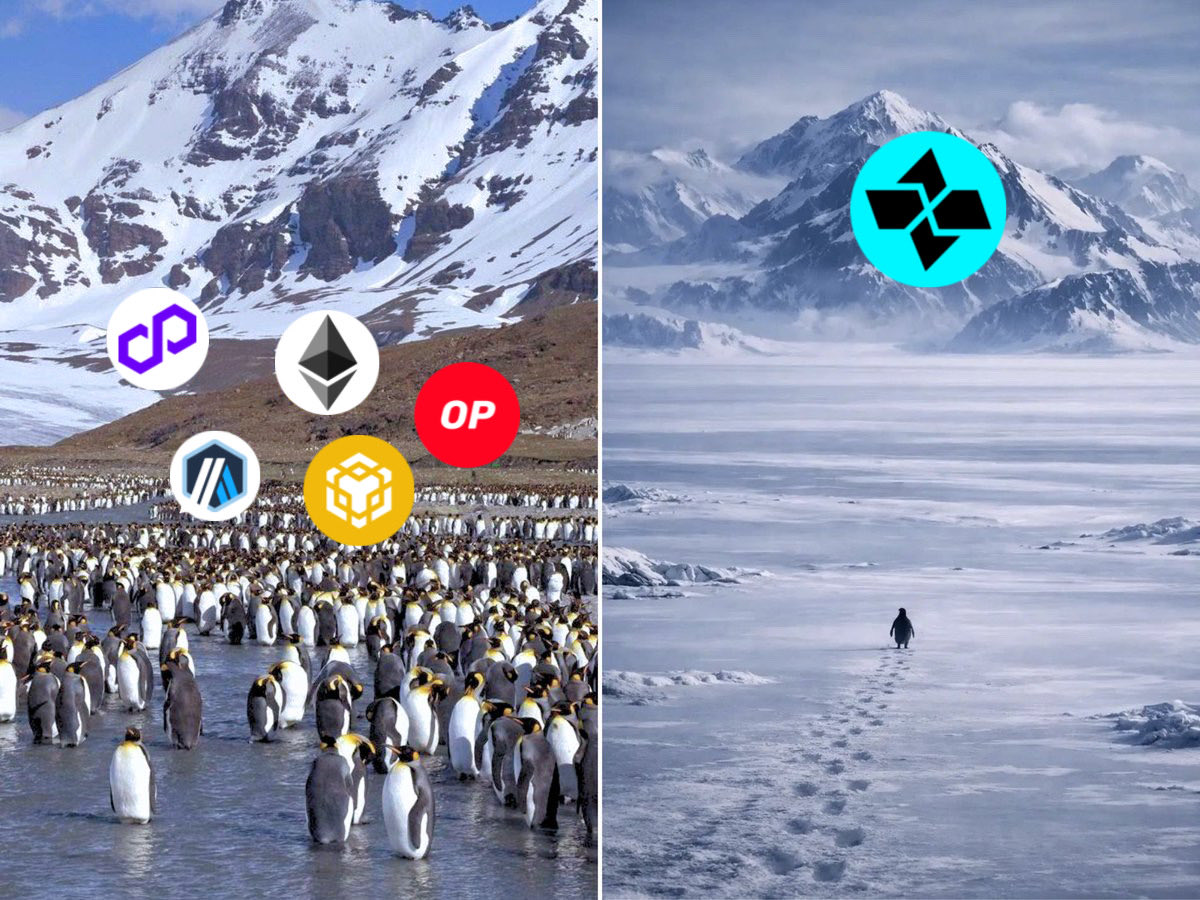 bubbalexone's tweet photo. Linux is the way, @cartesiproject 🐧 https://t.co/OexgRk1IrO