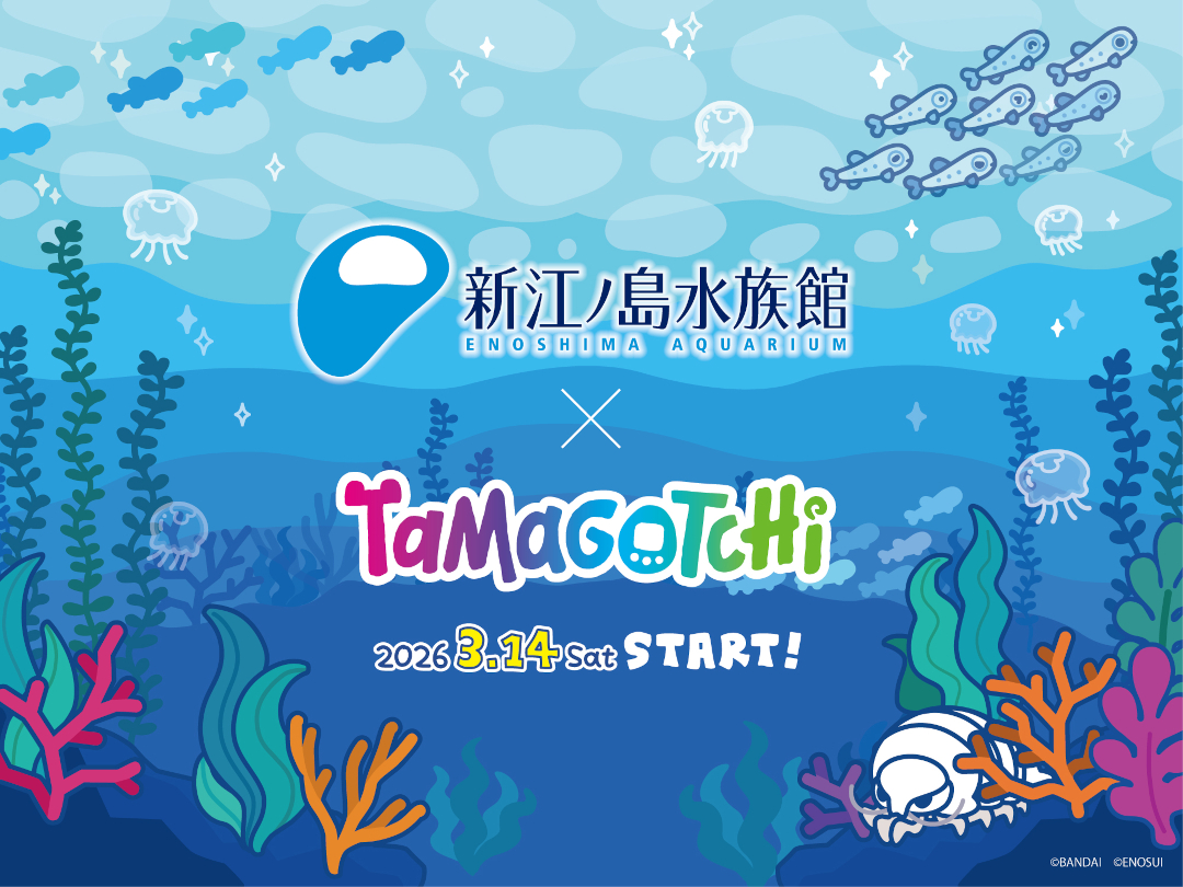 #たまごっち × 新江ノ島水族館  特別イベント

2026.3.14 sat  すた～と！

わくわくドキドキの冒険が今、始まる！

詳しいおしらせは後日公開予定🫧
おたのしみに🥚

enosui.com/evententry.php…

#えのたま #Tamagotchi