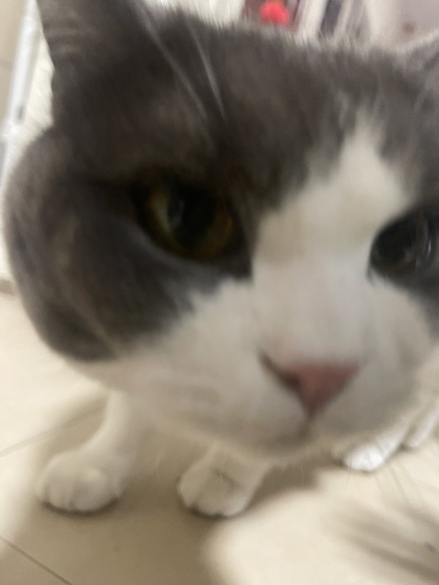 🫳🫳🫳🫳🫳🫳🫳🫳🫳🫳🫳🫳