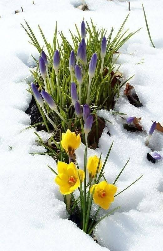 Pensées amicales pour te booster. Courage pour tes projets et que tout se passe bien aujourd'hui. ☕