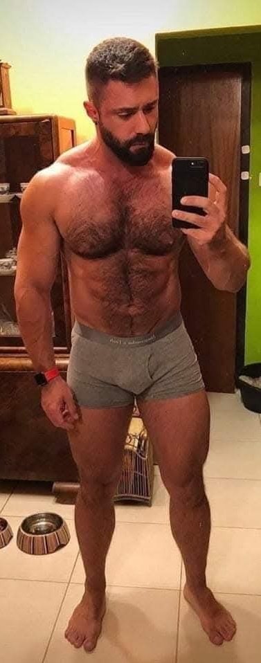 david_kirwan's tweet image. Dog owner