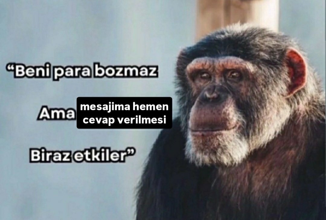 canimsenkimdin's tweet image. 🙏🏻