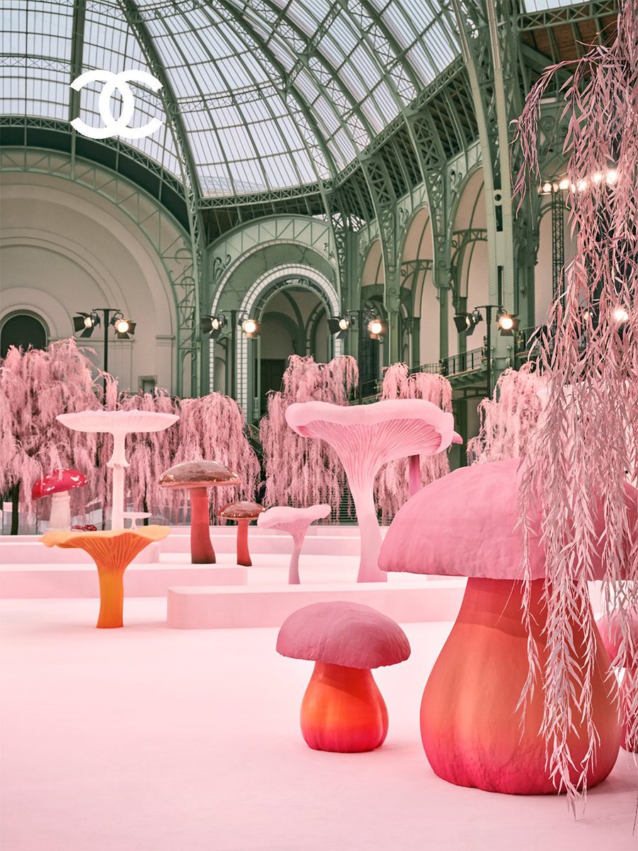 schiapearII's tweet image. the Chanel couture ss26 set!🍄