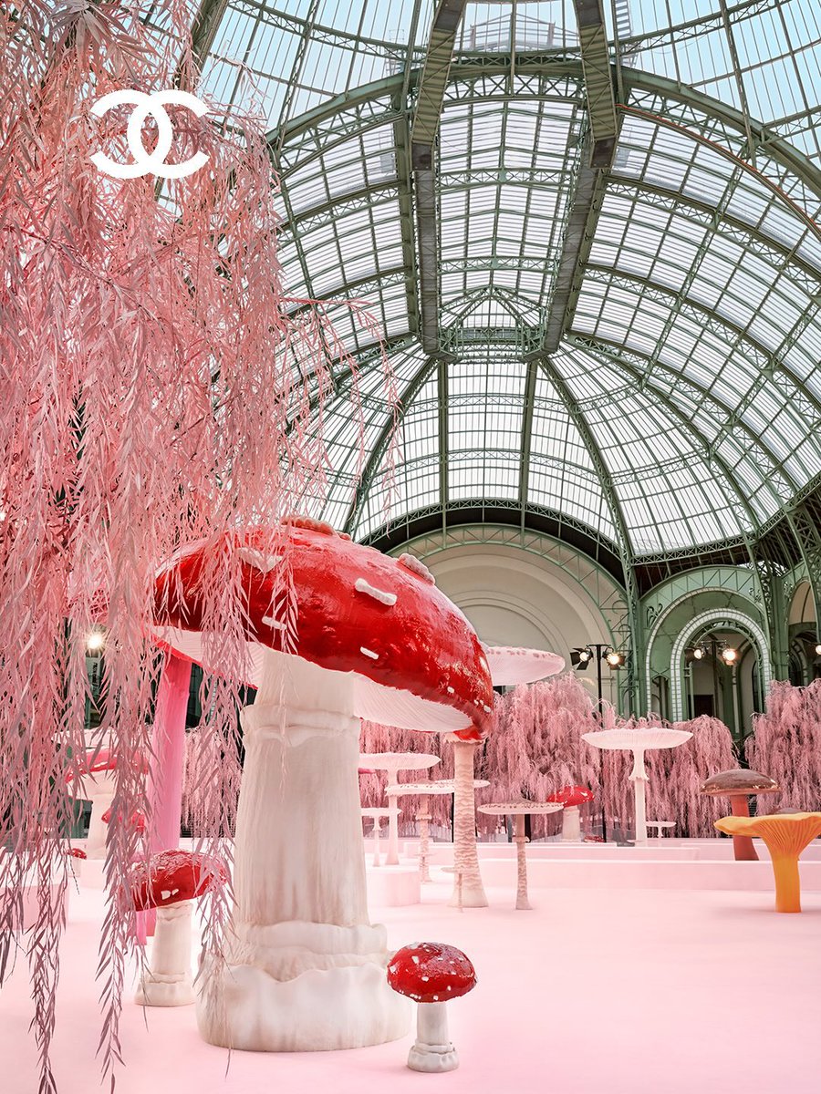 schiapearII's tweet image. the Chanel couture ss26 set!🍄
