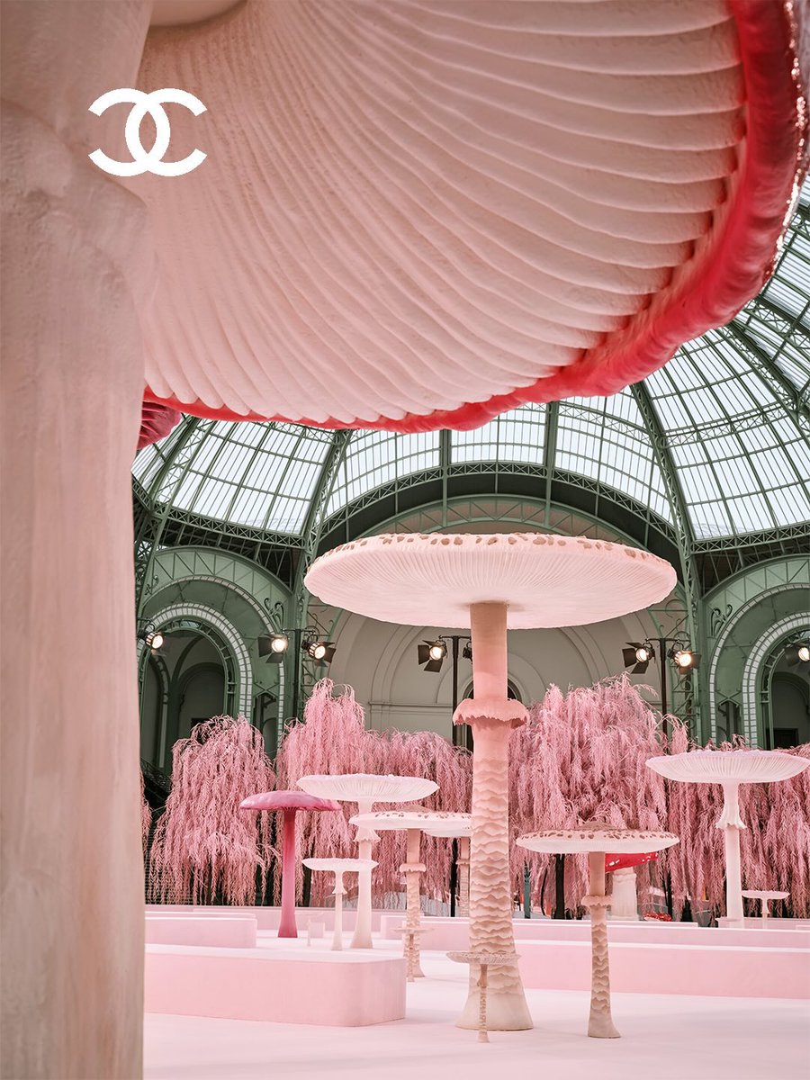 the Chanel couture ss26 set!🍄