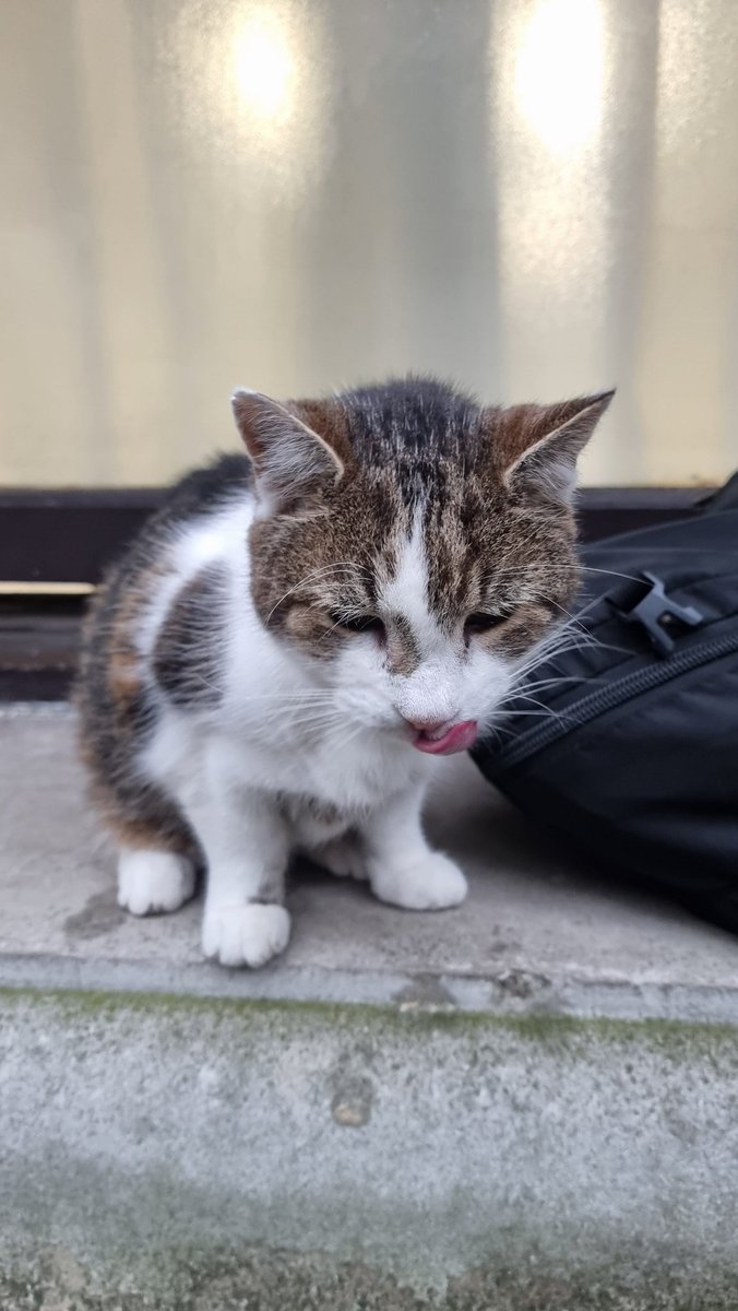 Justin Ng tweet media