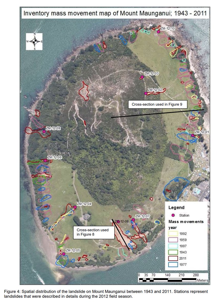 NormalKiwi tweet media