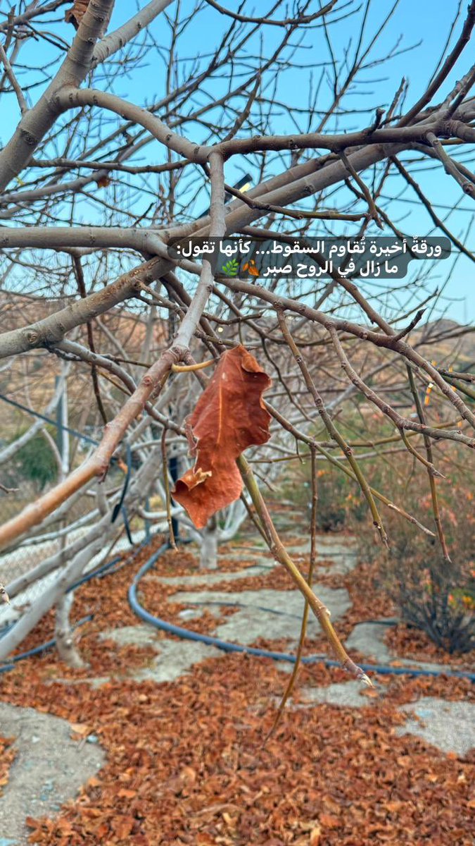 فَاتِنَ بنـّت مَحمّد🍂 (@faten19924) on Twitter photo 