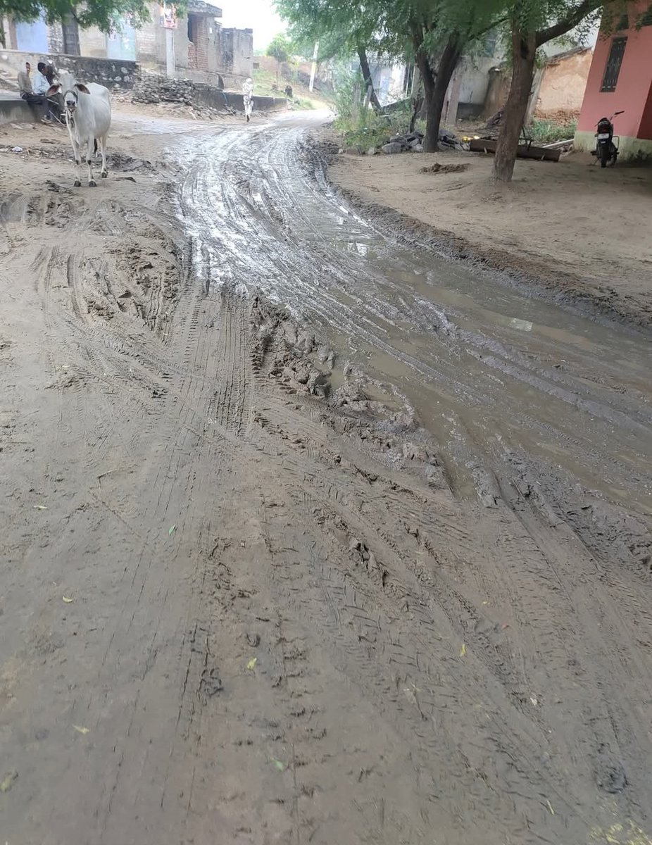 Ashumeena089's tweet photo. 📍 नवाबपुरा गांव (ग्राम पंचायत पालड़ा) tonk 
यहाँ बरसात नहीं, पूरे साल कीचड़ रहता है।
6 साल का कार्यकाल पूरा हो गया,
लेकिन आज भी ❌ सड़क ❌ नाली ❌ निकासी।
👣 चलना मुश्किल
🙏 जिम्मेदार अधिकारी और जनप्रतिनिधि ध्यान दे
@DCDMTonk
@RajCMO 
@DrKirodilalBJP 
@mopr_goi https://t.co/xWGyyDh91E